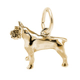 PITBULL (Yellow Gold)
