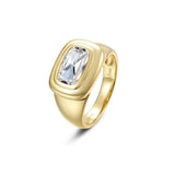 Double Bezel Signet Ring
