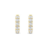 Sugarock Sugarock 18K Yellow Gold Earring F-G VS