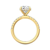 Sugarock Micropave 14K Yellow Gold Engagement Ring DEF VVS-VS