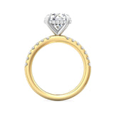 Sugarock Micropave 14K Yellow / PLAT Engagement Ring DEF VVS-VS