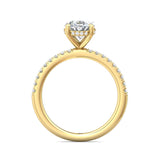 Sugarock Micropave 18K Yellow Gold Engagement Ring DEF VVS-VS