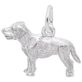 LABRADOR